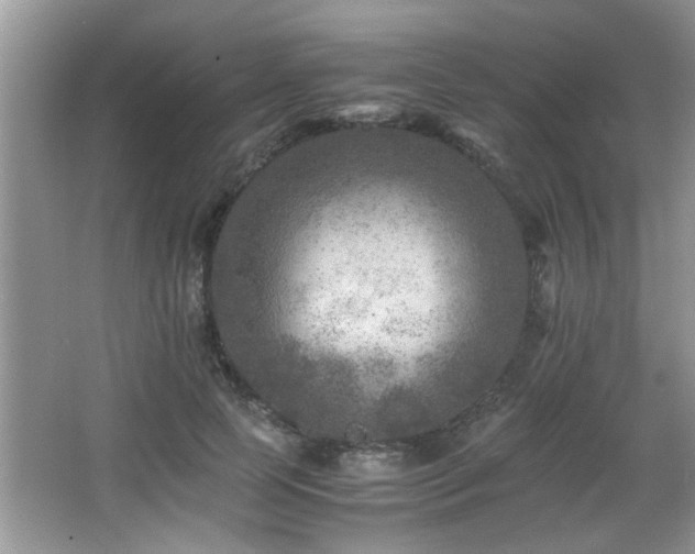 X0000065980745200603031154