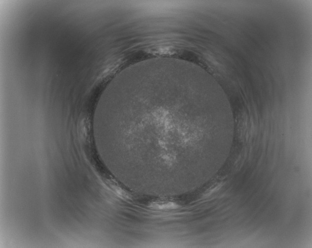 X0000065980747200603031154