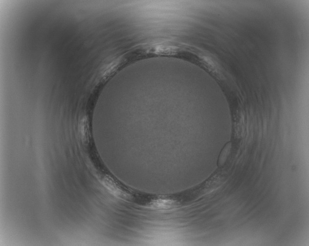 X0000065980748200603031154