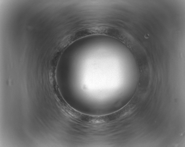 X0000065980749200603031154