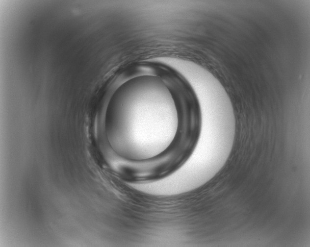 X0000065980750200603031154