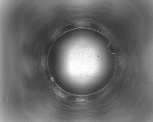 X0000065980753200603031154