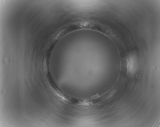 X0000065980754200603031154