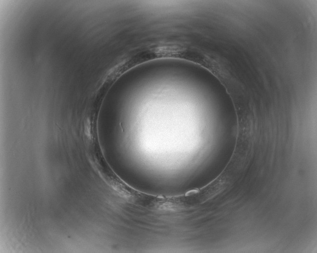 X0000065980755200603031154