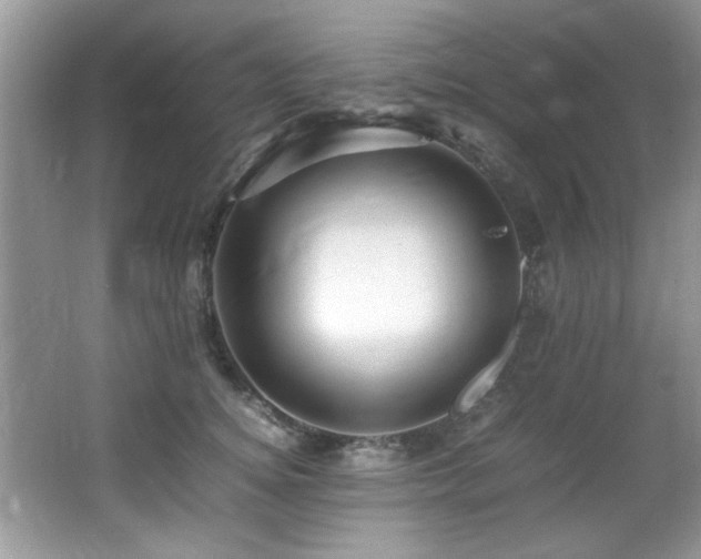 X0000065980756200603031154