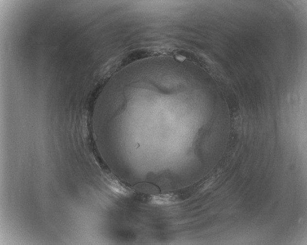 X0000065980757200603031154