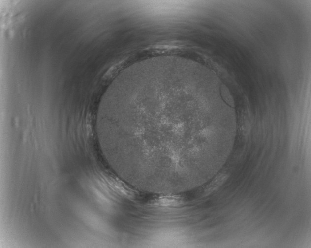 X0000065980758200603031154