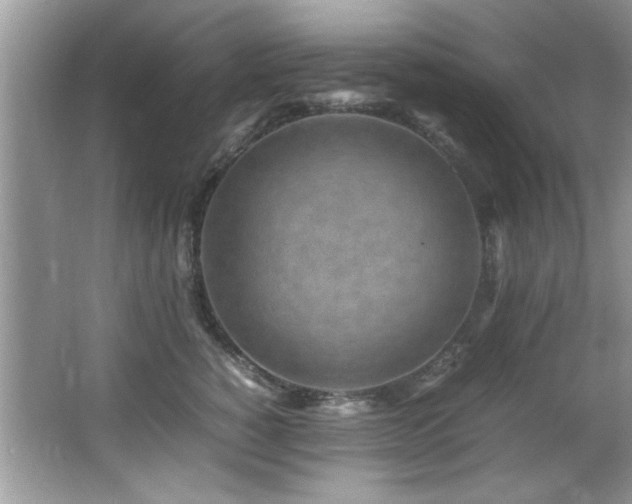 X0000065980760200603031154