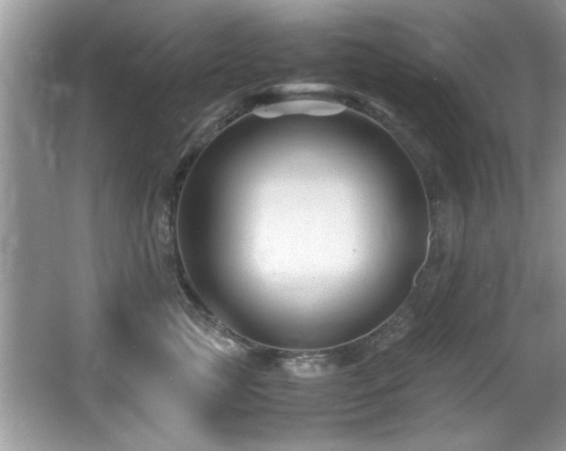 X0000065980761200603031154