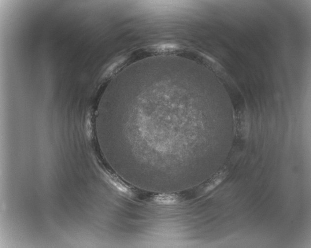 X0000065980762200603031154