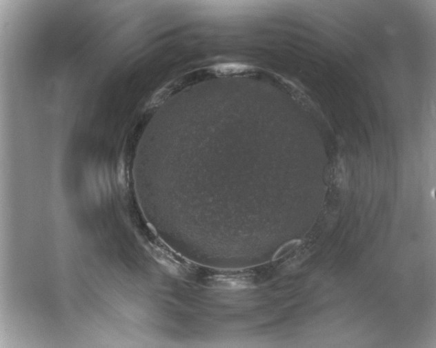 X0000065980763200603031154