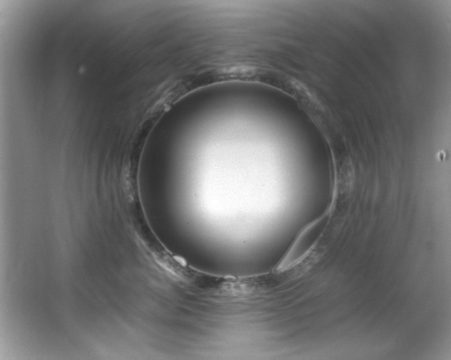 X0000065980764200603031154