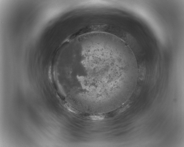 X0000065980765200603031154