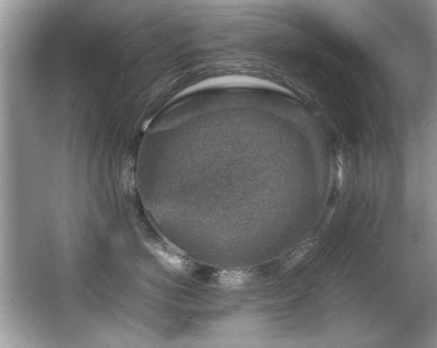 X0000065980766200603031154