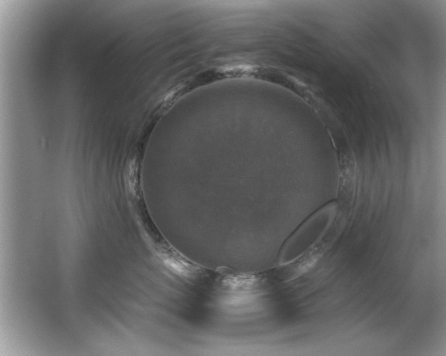 X0000065980767200603031154