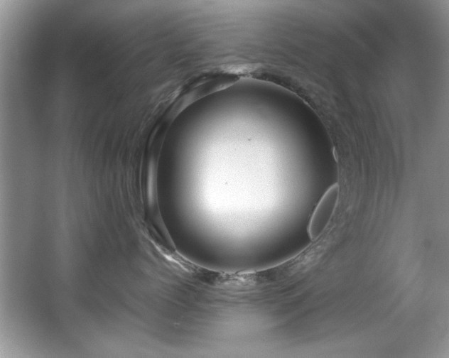 X0000065980768200603031154