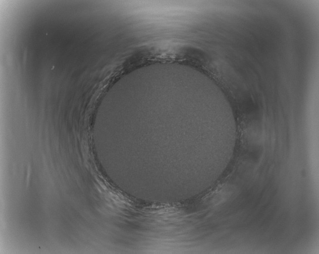 X0000065980769200603031154