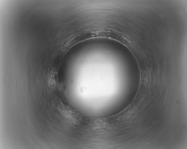 X0000065980770200603031154