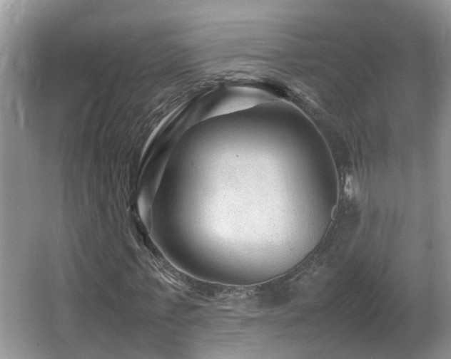 X0000065980771200603031154