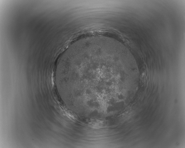 X0000065980772200603031154