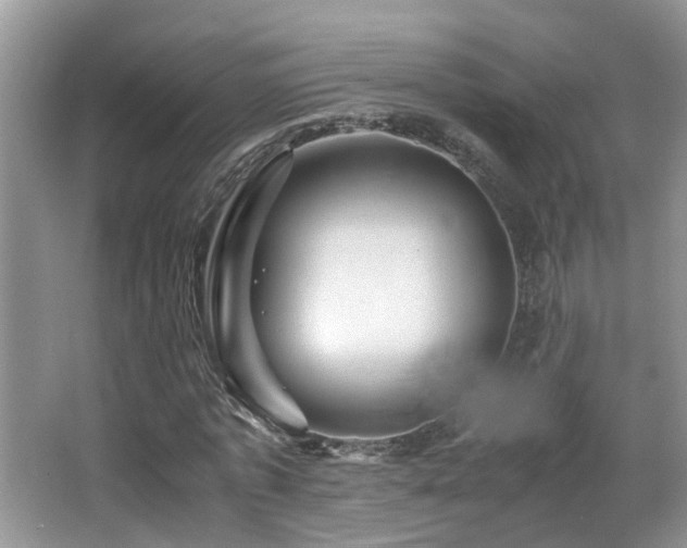 X0000065980773200603031154