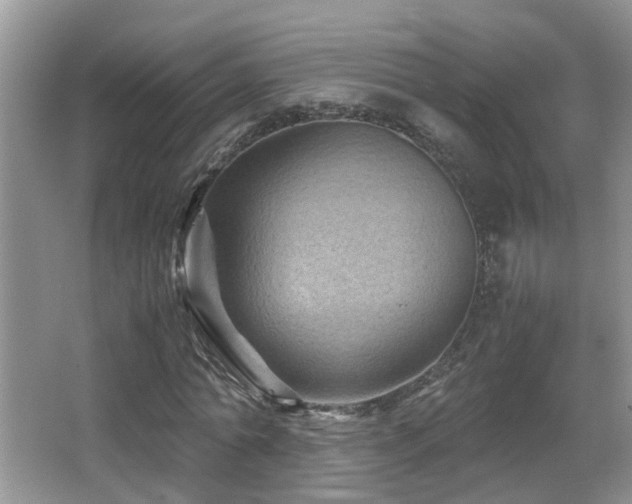 X0000065980774200603031154