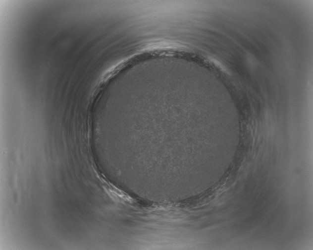 X0000065980775200603031154