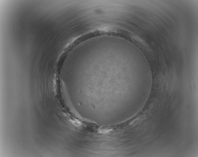 X0000065980776200603031153