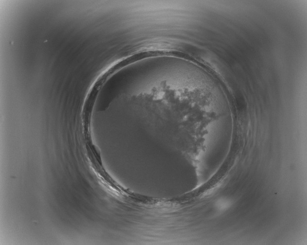 X0000065980779200603031153