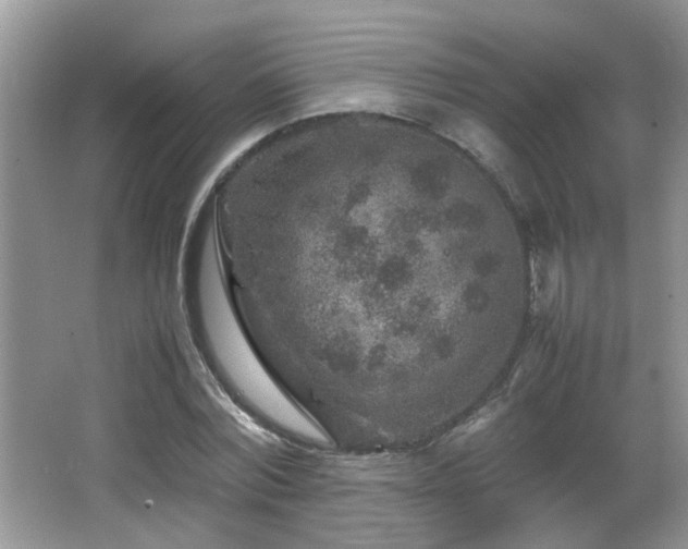 X0000065980780200603031153