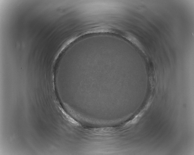 X0000065980781200603031153