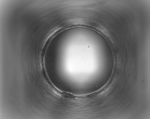 X0000065980782200603031153