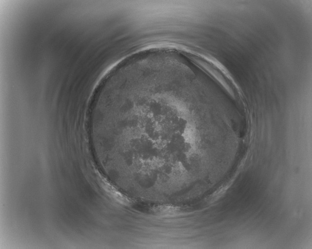 X0000065980783200603031153