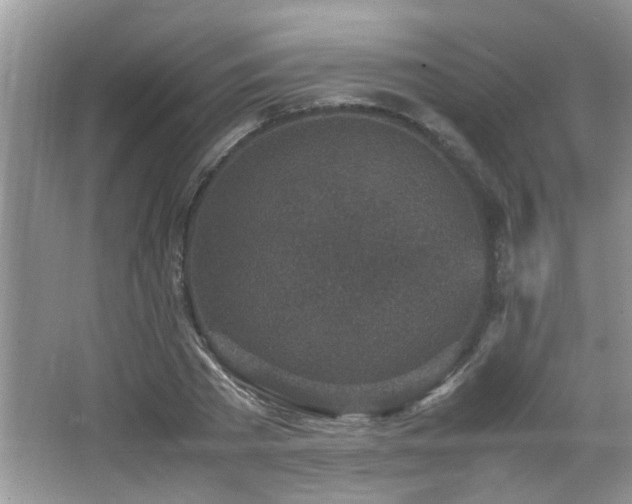 X0000065980785200603031153