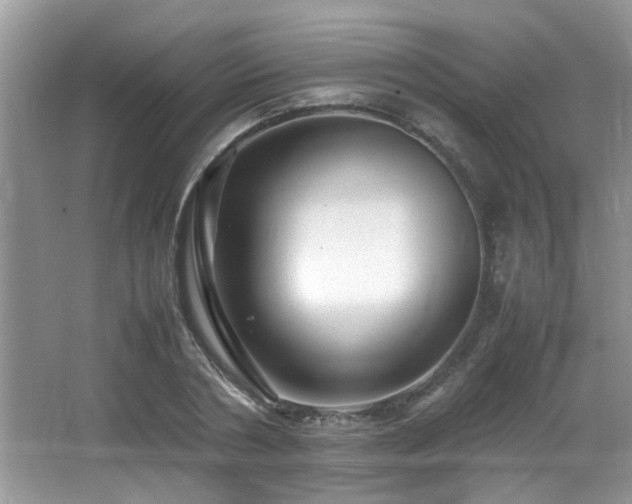 X0000065980786200603031153