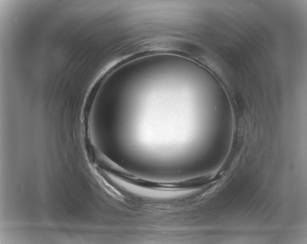 X0000065980787200603031153