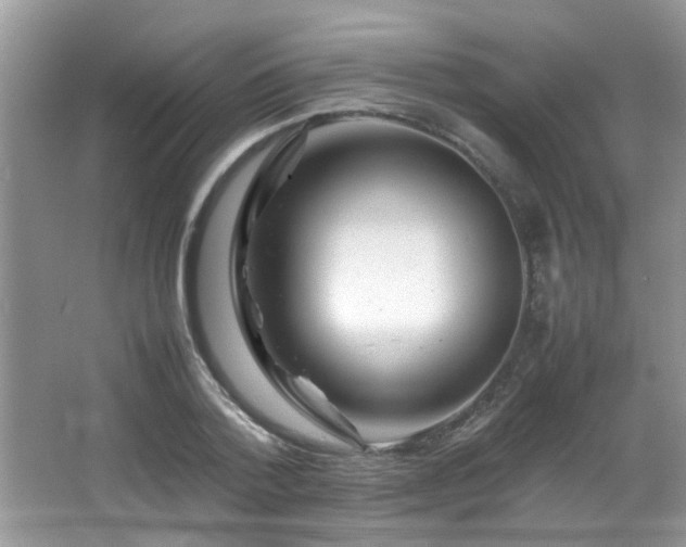 X0000065980788200603031153