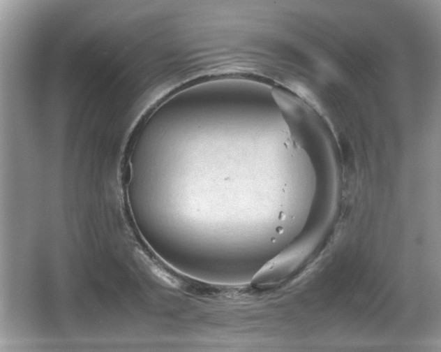 X0000065980789200603031153