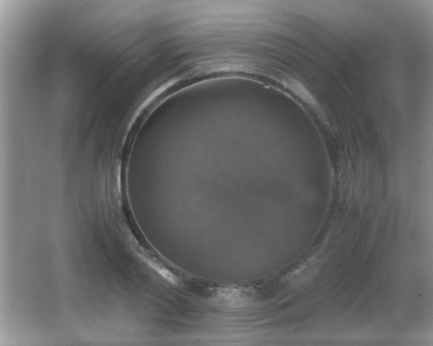 X0000065980790200603031153