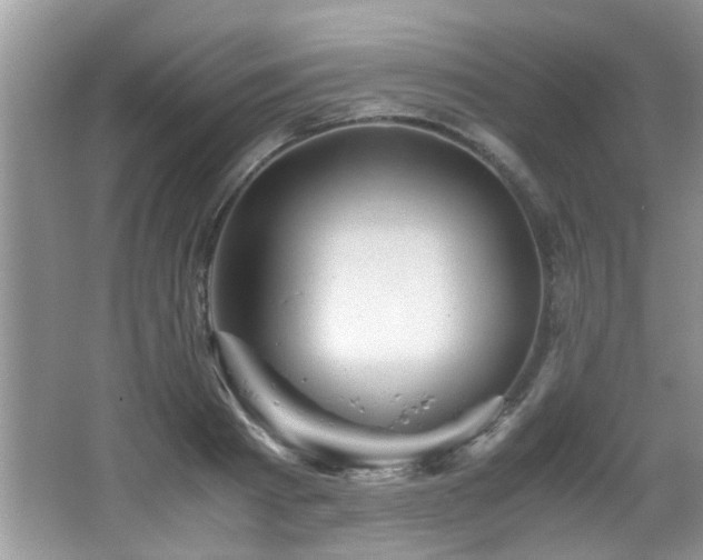 X0000065980793200603031153