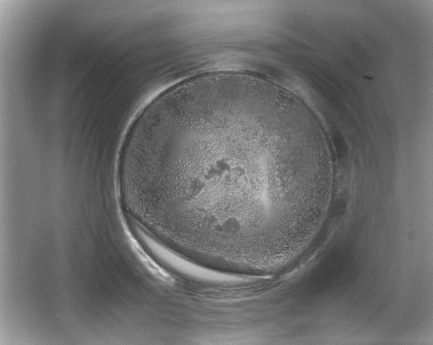 X0000065980795200603031153