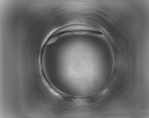 X0000065980796200603031153