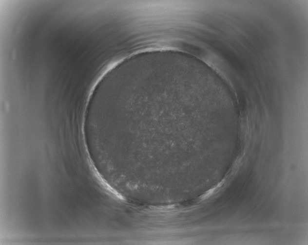 X0000065980797200603031153