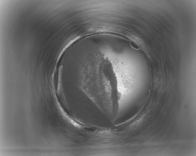 X0000065980798200603031153