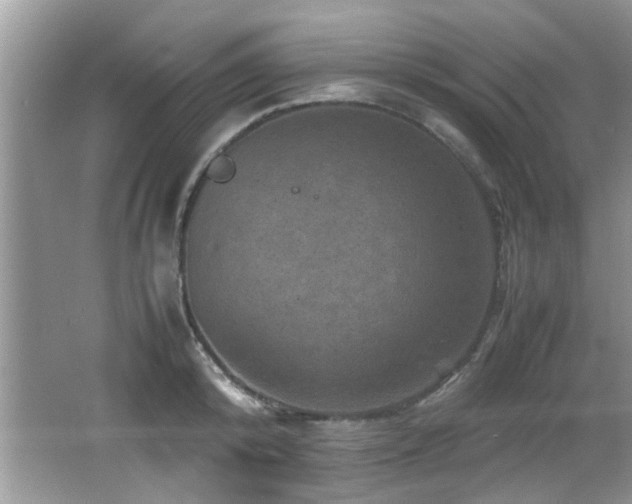 X0000065980800200603031153