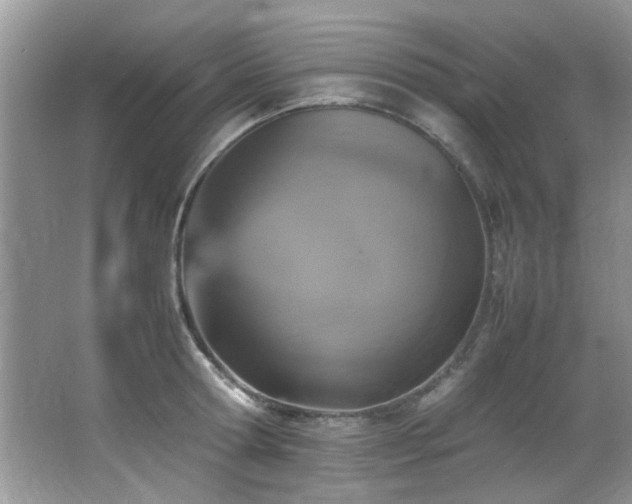 X0000065980802200603031153