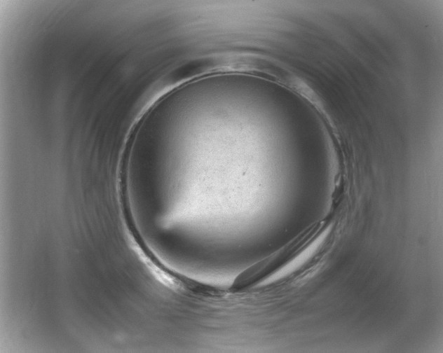 X0000065980803200603031153