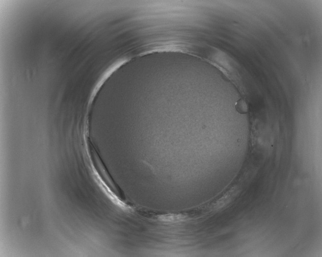 X0000065980804200603031153