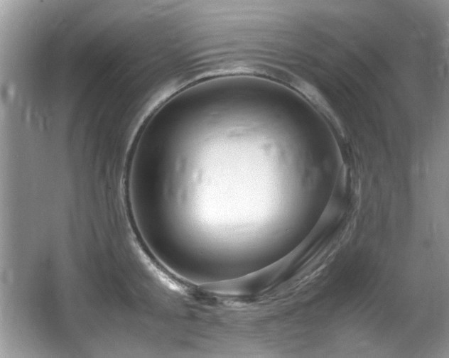 X0000065980805200603031153