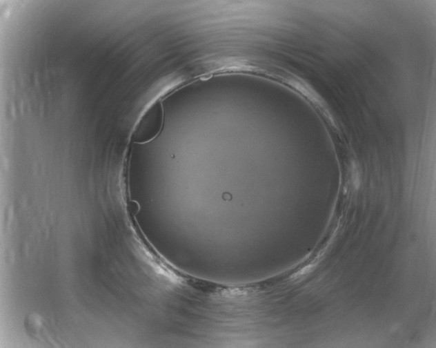 X0000065980806200603031153